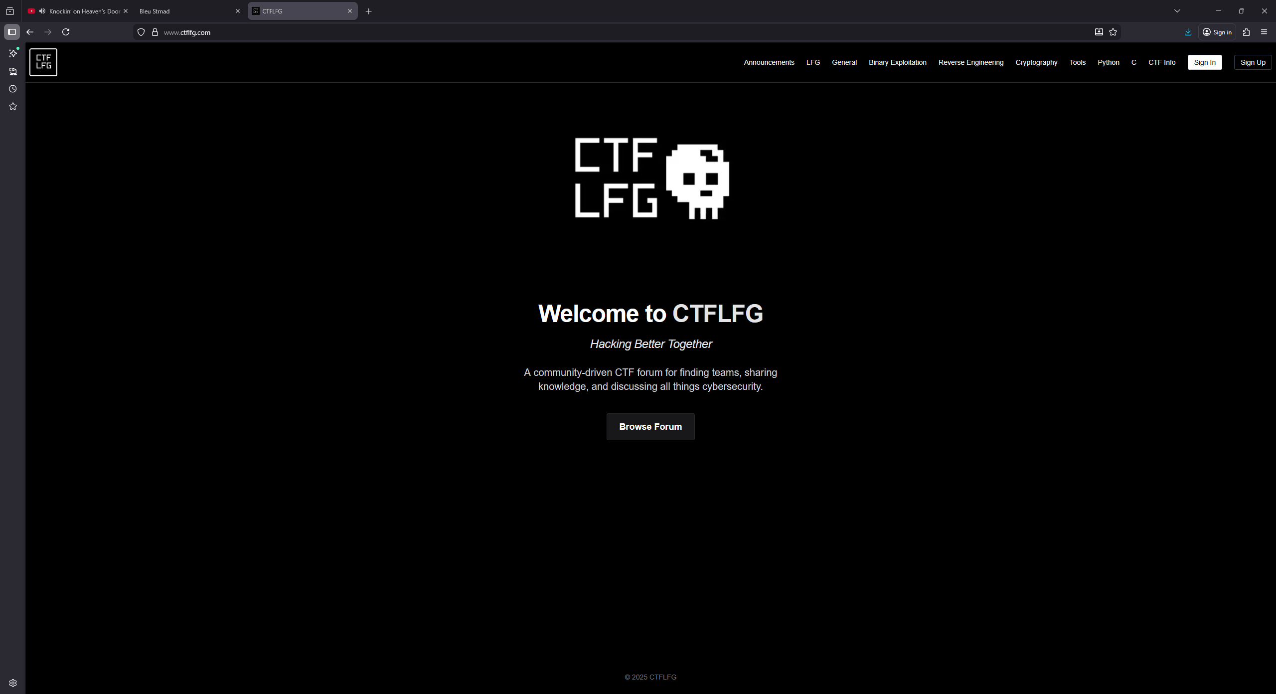 CTFLFG screenshot 1